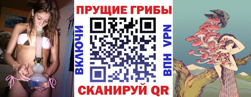 Купить  Ясный  Псилоцибиновые грибы прущие грибы 